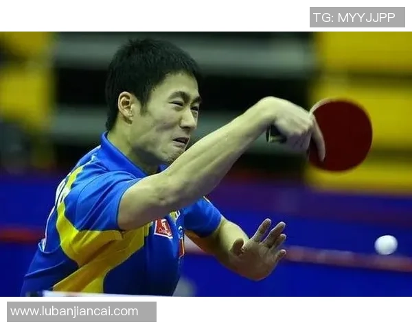 从零基础到高手之路乒乓球配合技巧全解析与实战训练指南