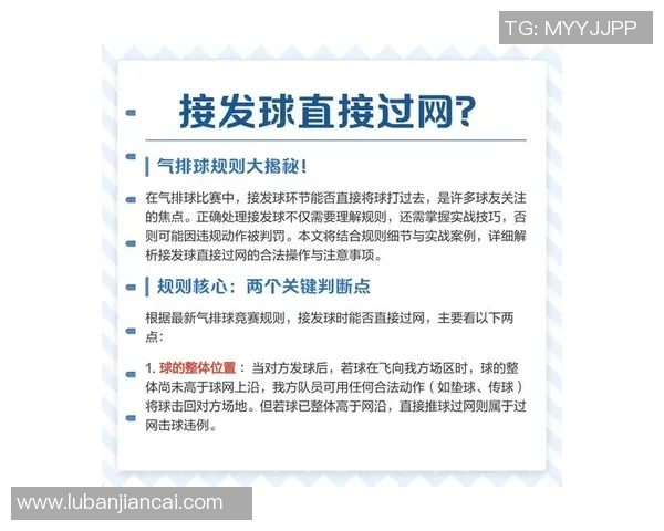 广州排球队的运营揭秘与深度分析探讨排球运动的未来发展方向