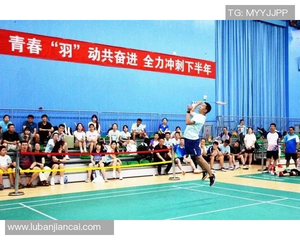 成都羽毛球队的蜕变与崛起：冠军赛背后的奋斗与坚持