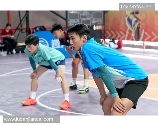 成都排球队的拼搏故事与荣耀历程全景纪实